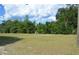 The beautiful backyard offers a spacious grassy area and lush greenery, perfect for outdoor activities at 25618 Fishermans Rd, Paisley, FL 32767