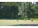 Beautiful backyard features three cranes walking on a spacious lawn surrounded by lush greenery at 25618 Fishermans Rd, Paisley, FL 32767