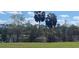 Pasture featuring lush grass and shady palm trees where a horse grazes peacefully at 25618 Fishermans Rd, Paisley, FL 32767