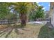 Exterior shot of a home's backyard featuring a pool and palm tree at 3199 Tobago Ct, Apopka, FL 32703