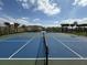This outdoor pickleball court features basketball hoops, palm trees and sunny skies at 4828 Abbeywood Aly, Winter Garden, FL 34787