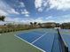 This outdoor pickleball court features basketball hoops, palm trees and sunny skies at 4828 Abbeywood Aly, Winter Garden, FL 34787