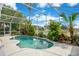 Beautiful screened-in pool with tropical landscaping, creating a private and tranquil outdoor oasis at 4219 Lillian Hall Ln, Orlando, FL 32812