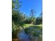 Picturesque creek surrounded by lush greenery, offering a tranquil natural setting at 112 Crown Oaks Way # 112, Longwood, FL 32779