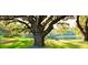 Scenic park view with a large tree, green lawn, and picnic tables overlooking a tranquil lake at 112 Crown Oaks Way # 112, Longwood, FL 32779