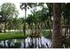 Scenic pond view with palm trees creating a tranquil, park-like atmosphere at 112 Crown Oaks Way # 112, Longwood, FL 32779