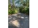 Tree-lined road featuring lush greenery, creating a serene and picturesque scene for a calming drive at 112 Crown Oaks Way # 112, Longwood, FL 32779