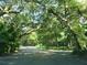Scenic street view with mature trees providing shade and creating a serene environment in the community at 112 Crown Oaks Way # 112, Longwood, FL 32779