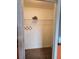 A walk-in closet with carpet and shelving; ample space for organizing belongings at 119 Stewart Lake Loop, Groveland, FL 34736