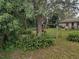 Large backyard with mature landscaping, playground, and plenty of space for outdoor activities at 123 N High St, Lake Mary, FL 32746