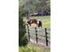 Pastoral scene of horses grazing peacefully next to the fence on lush acreage at 1880 Perch Hammock Loop, Groveland, FL 34736