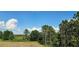 View of the green backyard with tall trees and brush at 222 Glass Onion Dr, Groveland, FL 34737