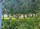 Lush backyard with mature trees provides a serene and private outdoor space at 3700 Plantation Blvd, Leesburg, FL 34748