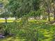 Picturesque backyard featuring lush greenery, mature trees, and beautiful landscaping at 3700 Plantation Blvd, Leesburg, FL 34748
