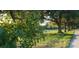 Picturesque street view with mature trees lining the road, creating a serene atmosphere at 3700 Plantation Blvd, Leesburg, FL 34748
