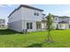 View of the home's backyard featuring a covered patio and freshly cut lawn at 5242 Citrus Leaf, Winter Garden, FL 34787