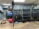 Community gym featuring a variety of exercise equipment including free weights and medicine balls at 7518 Seven Eagles Way # 201, Reunion, FL 34747