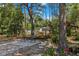 Outdoor patio area with table and chairs, surrounded by lush greenery and mature trees at 8660 Sw 137Th Ct, Dunnellon, FL 34432