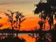 Beautiful waterfront sunset view with orange sky and trees reflecting in the water at 8988 Houston Pl # 303, Orlando, FL 32819