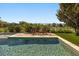 Sparkling pool area, complete with lounge chairs and lush landscaping, providing a relaxing backyard oasis at 14742 Bahama Swallow Blvd, Winter Garden, FL 34787