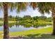 Scenic pond view surrounded by lush landscaping and mature trees at 2203 Gopher Tortoise Ter, Oakland, FL 34787