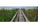 A long wooden pier with railing, surrounded by lush greenery, leading to the open water at 2631 Mcdonald Ter, Mount Dora, FL 32757