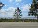 Scenic water view showcasing calm water, lush trees, a small pier, and a partly cloudy sky at 2631 Mcdonald Ter, Mount Dora, FL 32757