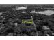 Unique aerial view highlighting a home within a neighborhood surrounded by lush, mature trees in black and white at 3420 Dawn Ct, Lake Mary, FL 32746