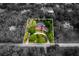 Aerial view of a home with a pool and circular driveway, property lines outlined for clarity at 3420 Dawn Ct, Lake Mary, FL 32746