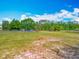 Large, fenced pasture with lush grass and orange cones, perfect for grazing at 38241 County Road 439, Eustis, FL 32736