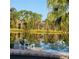 Serene backyard with a view of the lake with comfortable seating by the pool at 3960 Lake Mira Dr Dr, Orlando, FL 32817