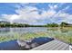 Scenic lake view featuring water lilies and a private dock, reflecting a serene and natural landscape under a bright sky at 3960 Lake Mira Dr Dr, Orlando, FL 32817