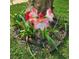 Yard featuring flowering amaryllis under a large shade tree at 3960 Lake Mira Dr Dr, Orlando, FL 32817