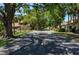 Quiet street lined with mature trees offering shade, enhancing the neighborhood's charm at 711 Swan Ln, Altamonte Springs, FL 32701
