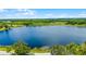 A scenic aerial view of a serene blue lake surrounded by lush greenery and trees at 730 S Main Ave, Groveland, FL 34736