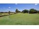 Lush green golf course view with manicured fairway, palm trees, and mature trees under a clear blue sky at 7905 Jacks Club Dr, Kissimmee, FL 34747