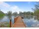 A wooden dock on a tranquil lake surrounded by trees and charming homes at 907 Celadon St, Winter Garden, FL 34787