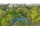 Overhead shot shows the basketball court tucked amidst trees inside a suburban community at 1131 Indigo Dr, Celebration, FL 34747