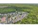 Aerial view of a suburban neighborhood lush with trees and meticulously maintained lawns at 1131 Indigo Dr, Kissimmee, FL 34747