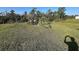Picture of a spacious backyard featuring green grass and landscaping at 2711 Neverland Dr, New Smyrna Beach, FL 32168