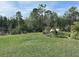 Picturesque backyard showcasing a well-manicured lawn and natural Florida landscaping at 2711 Neverland Dr, New Smyrna Beach, FL 32168