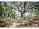 Community park features a play structure and a large shade tree at 4793 Grassy Knoll Dr, Tavares, FL 32778