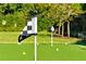 Close-up of a meticulously maintained putting green for golf enthusiasts, adding a touch of luxury to the backyard at 5525 Isleworth Country Club Dr, Windermere, FL 34786