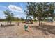 Community playground featuring swings, slides, and playful spring riders beneath mature shade trees, offering a fun and safe play environment at 1018 Boxelder Ave, Minneola, FL 34715