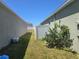 Side yard view with partial grass, a white fence and greenery at 1596 Park Side Ave, Kissimmee, FL 34744