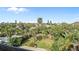 A lush backyard setting with a swimming pool, palm trees, and dense tropical foliage creates a private oasis at 1640 N Atlantic Ave, New Smyrna Beach, FL 32169