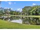 Scenic view of the pond surrounded by lush greenery, reflecting a serene and peaceful setting at 5102 Monticello Heights Ln, Oviedo, FL 32765
