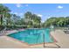 Community pool featuring palm trees, sun loungers and pristine blue water on a sunny day at 5102 Monticello Heights Ln, Oviedo, FL 32765