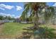 Spacious backyard featuring a large palm tree, a screened lanai, lush green grass, and a storage shed at 5583 Miles Dr, Port Orange, FL 32127