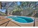 Screened in pool and spa surrounded by concrete with trees beyond the enclosure at 605 W Palm Valley Dr, Oviedo, FL 32765
